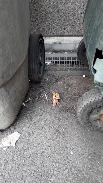 【北新地】祝！！10周年記念おそうじ！【10月第4土曜日】画像