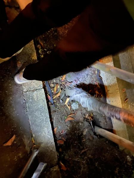 今年はイベントの年にできたらいいな！画像