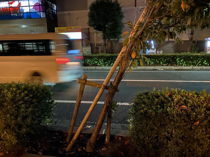 今年はイベントの年にできたらいいな！画像