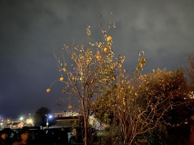 今年はイベントの年にできたらいいな！画像