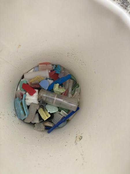 湘南！江ノ島片瀬西浜海岸マイクロプラスチックビーチクリーン！画像