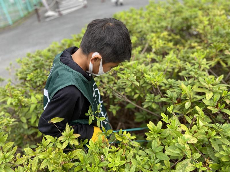 溝の口チーム定期清掃会2022.11月分【第71回】画像