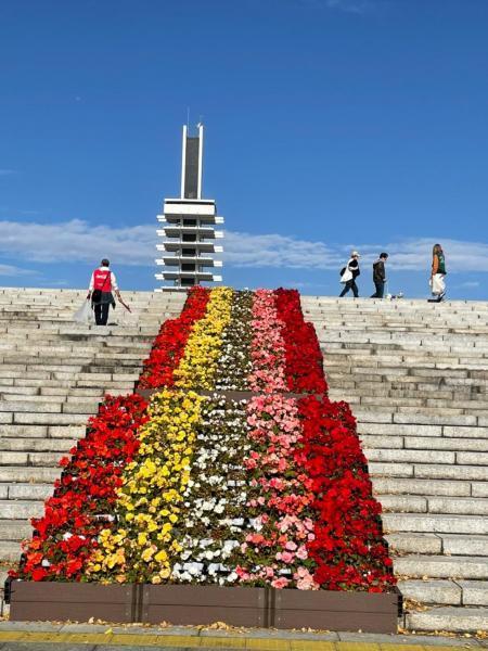 駒沢公園おそうじ画像