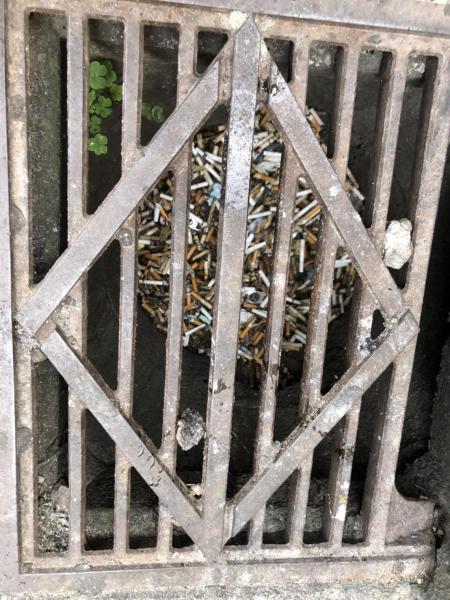 【杉田】定期清掃画像