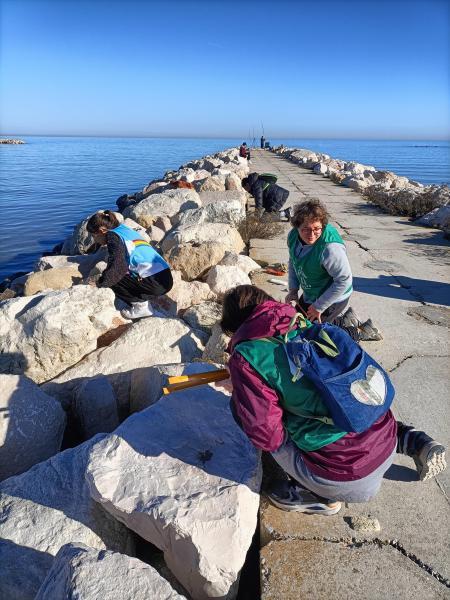 海で年末大掃除!画像