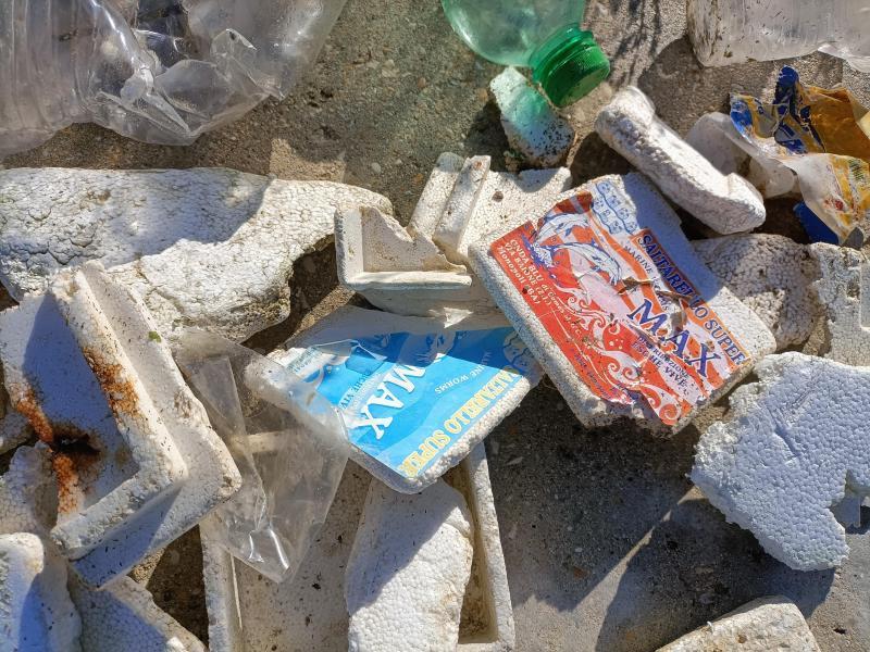 海で年末大掃除!画像