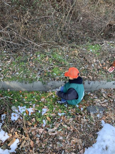 活動始め。やっぱり気持ち良い。画像