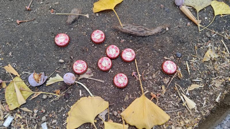 【北新地】メリクリ定例おそうじ【12月第4土曜日】画像