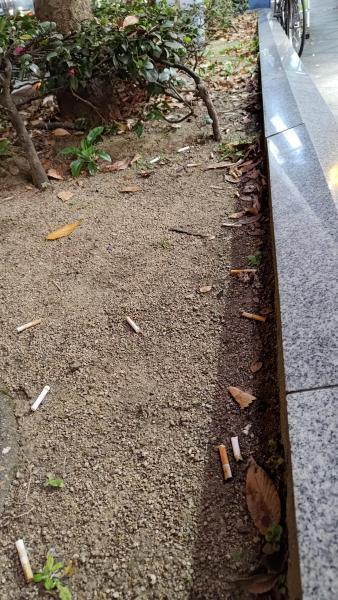 【北新地】復活の木曜定例おそうじ【12月第3木曜日】画像