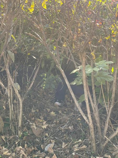 【蒔田】定期清掃画像