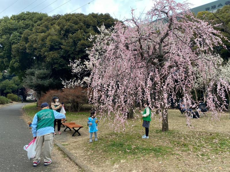 駒沢公園おそうじ画像