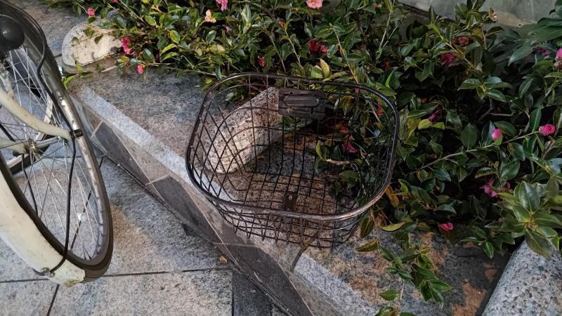 【北新地】アレを忘れた定例おそうじ【2月第3木曜日】画像