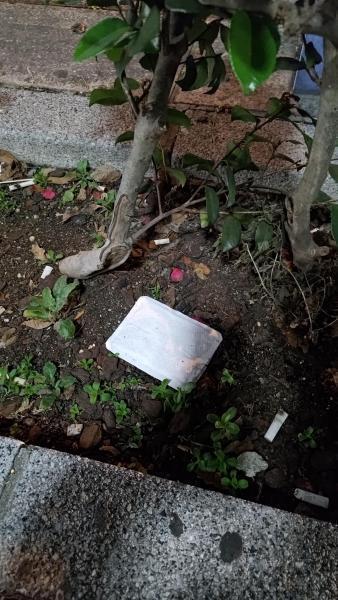 【北新地】アレを忘れた定例おそうじ【2月第3木曜日】画像