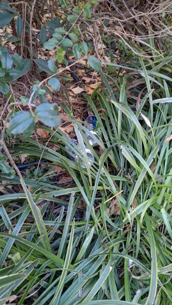 【北新地】おもろごみてんこ盛りな定例おそうじ【2月第4土曜日】画像