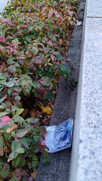 【北新地】おもろごみてんこ盛りな定例おそうじ【2月第4土曜日】画像