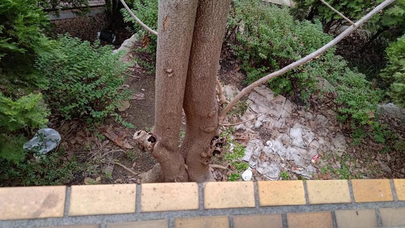 【北新地】おもろごみてんこ盛りな定例おそうじ【2月第4土曜日】画像