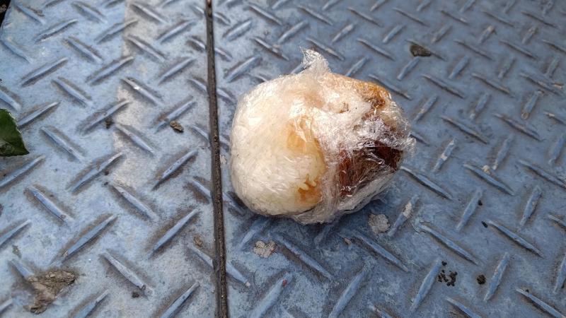 【北新地】おもろごみてんこ盛りな定例おそうじ【2月第4土曜日】画像