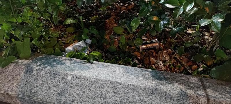 【北新地】タイトル変えよか悩んだ木曜バード【3月第3木曜日】画像