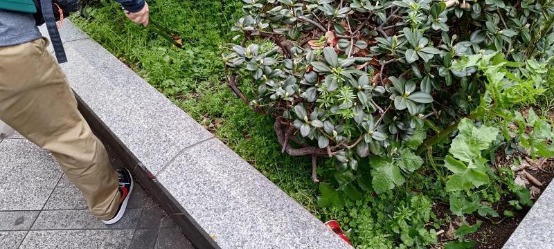 【北新地】なんか色々落ちとる定例おそうじ【3月第4土曜日】画像