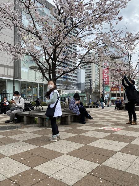 本日もたくさん拾いました画像