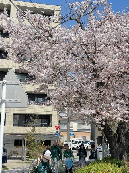 【井土ヶ谷】定期清掃画像