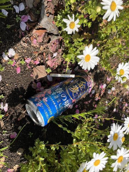 【井土ヶ谷】定期清掃画像