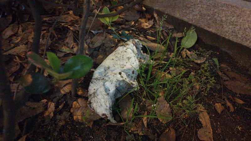 【北新地】みんなこなれてきた感じの木曜バード【4月第3木曜日】画像