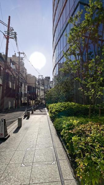 【北新地】コロナもまもなく終了の定例おそうじ【4月第4土曜日】画像