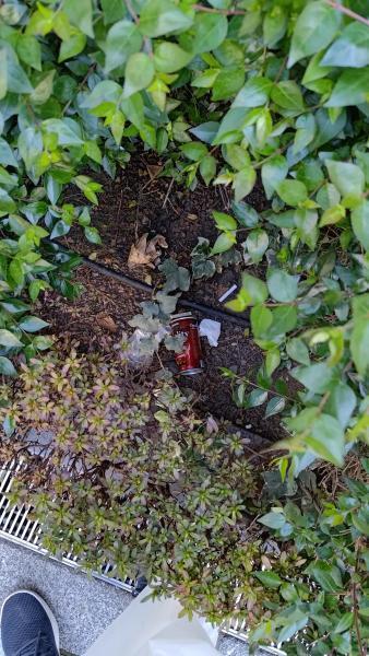 【北新地】コロナもまもなく終了の定例おそうじ【4月第4土曜日】画像