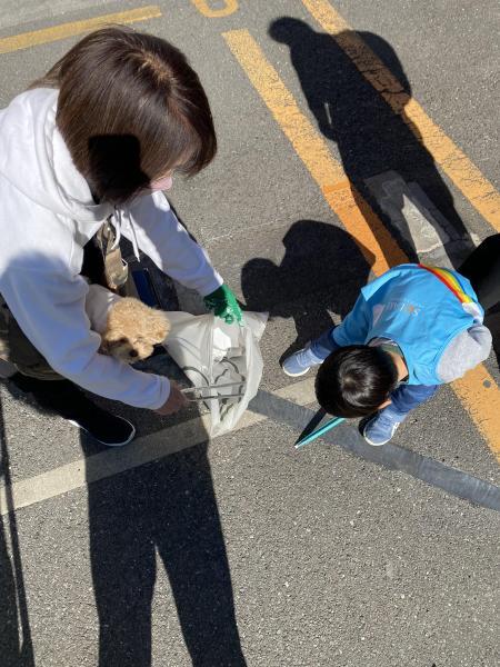 活動が及ぼす地域への影響について画像