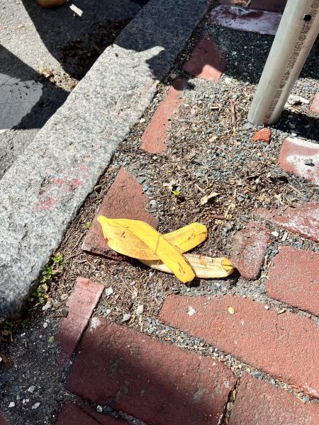 ボストンチーム5月お掃除画像