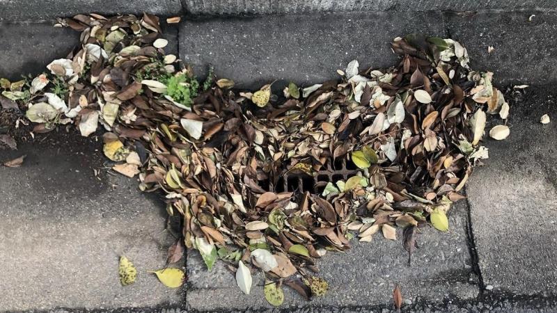 大牟田駅前お掃除画像