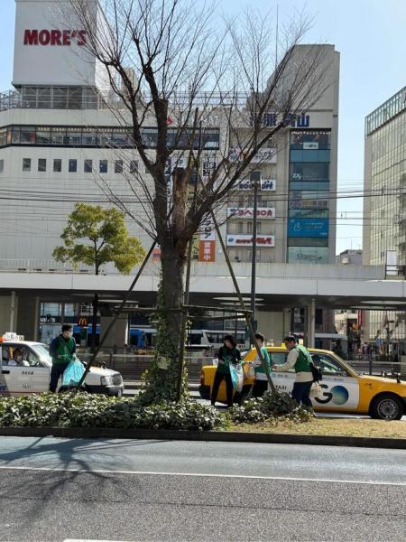 春めいてきました画像