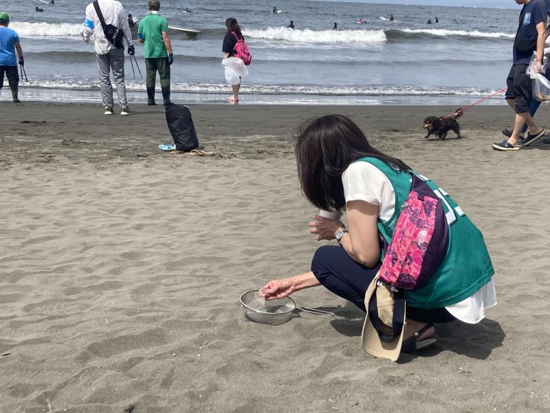 江の島マイクロプラスチック！梅雨入り前にビーチクリーン画像