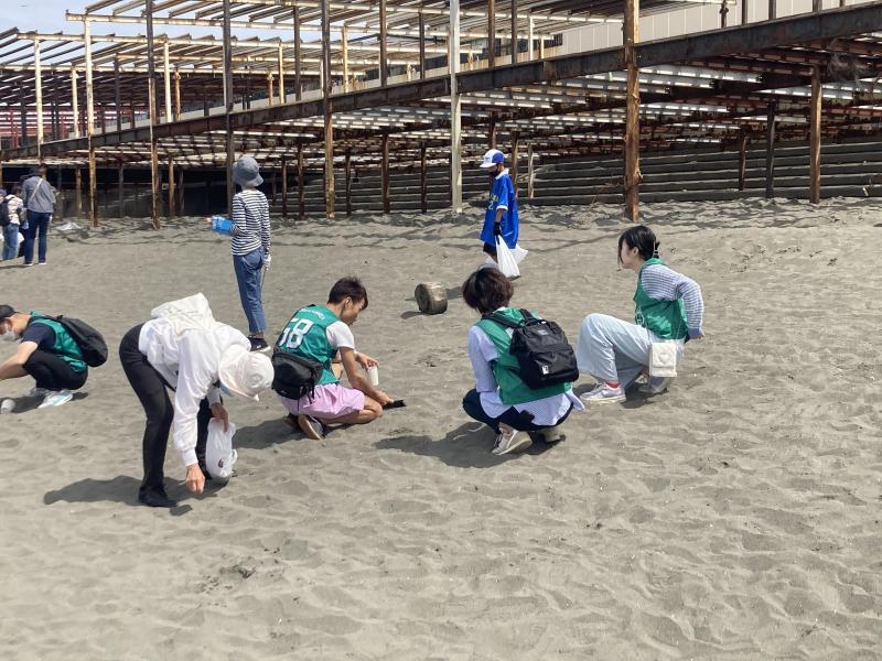 江の島マイクロプラスチック！梅雨入り前にビーチクリーン画像