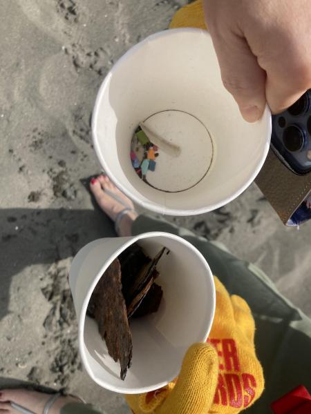 江の島マイクロプラスチック！梅雨入り前にビーチクリーン画像