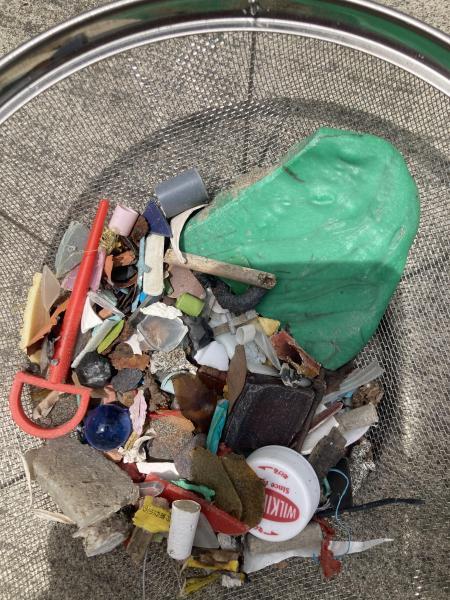 江の島マイクロプラスチック！梅雨入り前にビーチクリーン画像