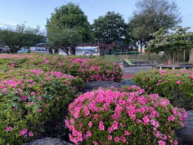 活動ご協力ありがとうございます。画像