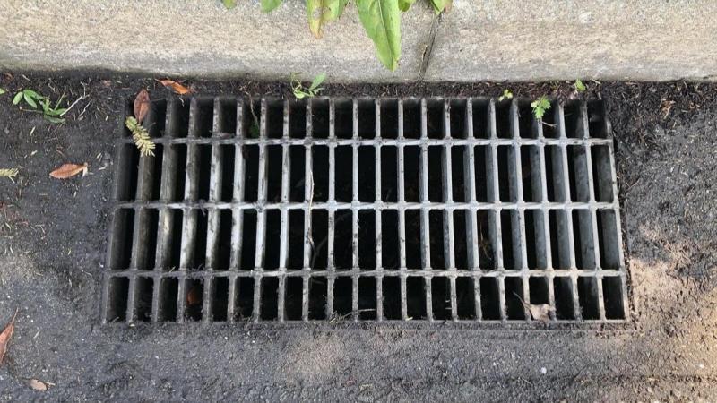 防災グリーンバード画像