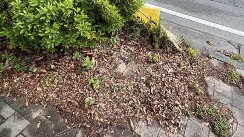 防災グリーンバード画像