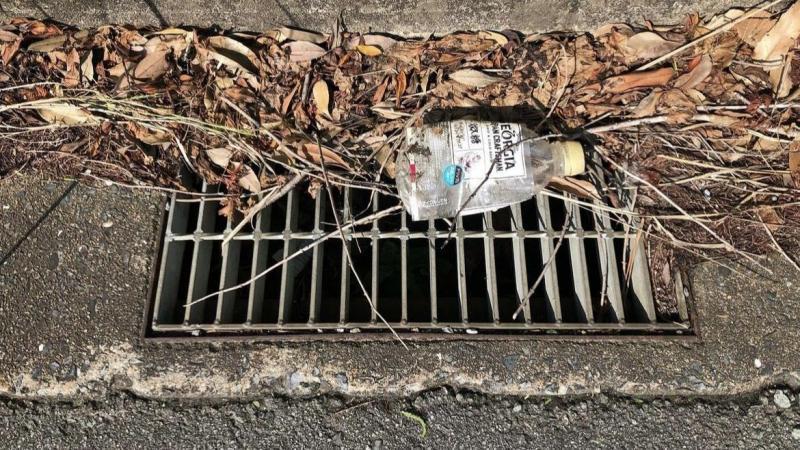 防災グリーンバード画像