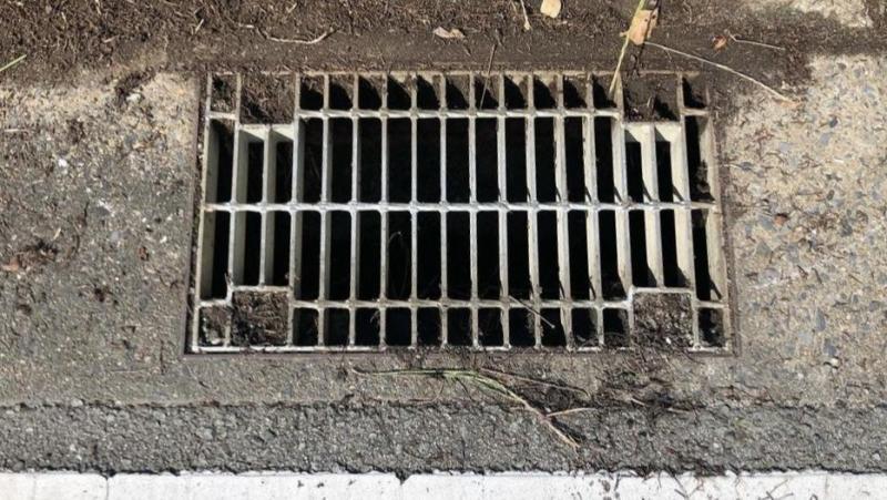 防災グリーンバード画像