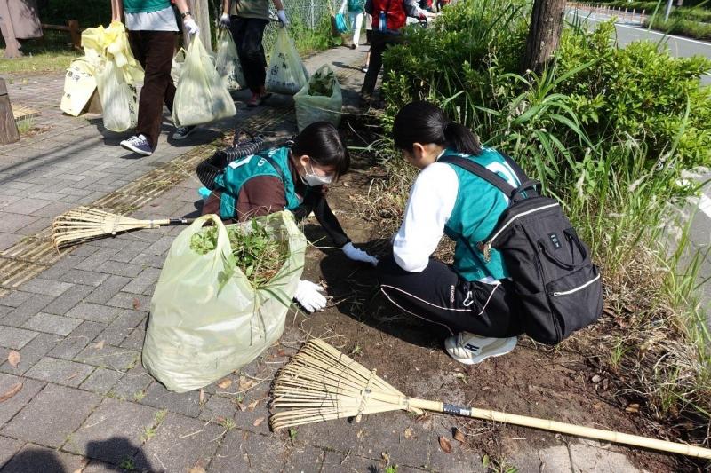 防災グリーンバード画像