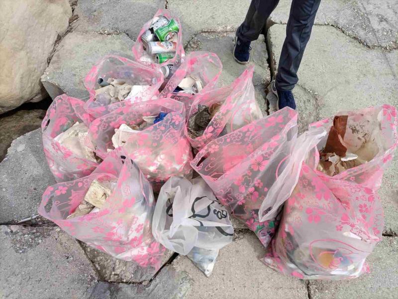 春のお掃除♪画像