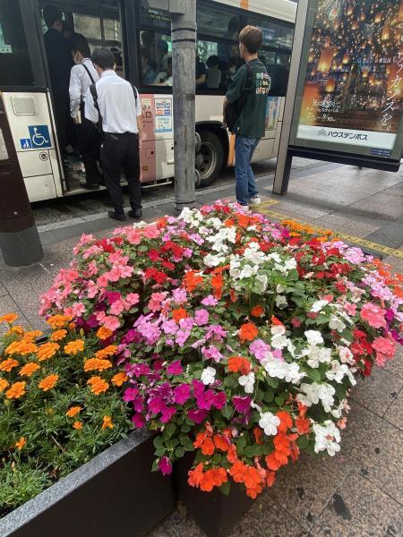 福岡天神　夏に向けて、いろんなものであふれてる天神の街☆朝そうじ画像