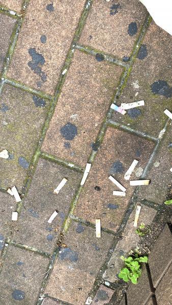 福岡天神　夏に向けて、いろんなものであふれてる天神の街☆朝そうじ画像