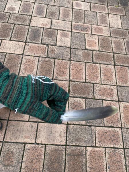 【米子】平日木曜アフターヌーン画像