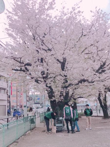 登戸お掃除画像