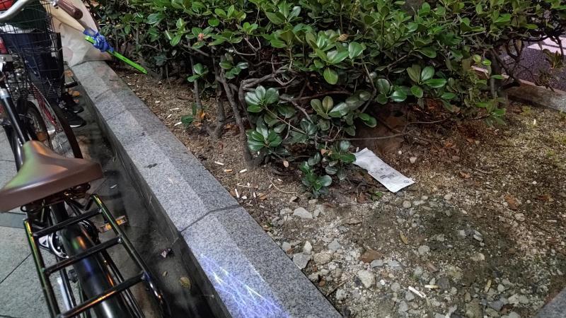 【北新地】梅雨の合間の木曜バード【6月第3木曜日】画像