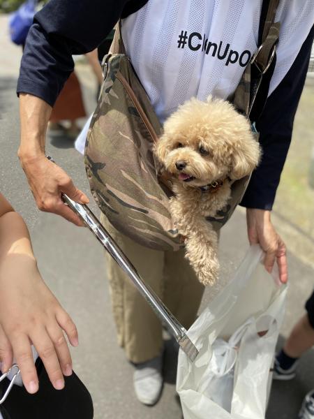 本日気温30℃。画像